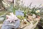 *Kleinod im Herzen von Kronberg* - Einfamilienhaus Kronberg | Angebot:25853090