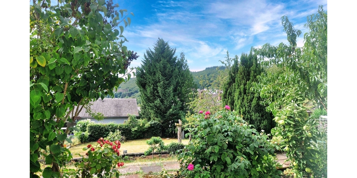Blick in den Garten