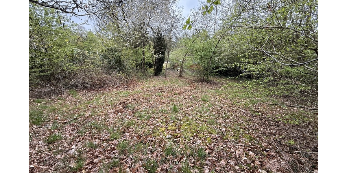 Blickrichtung West